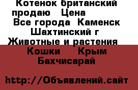 Котенок британский продаю › Цена ­ 3 000 - Все города, Каменск-Шахтинский г. Животные и растения » Кошки   . Крым,Бахчисарай